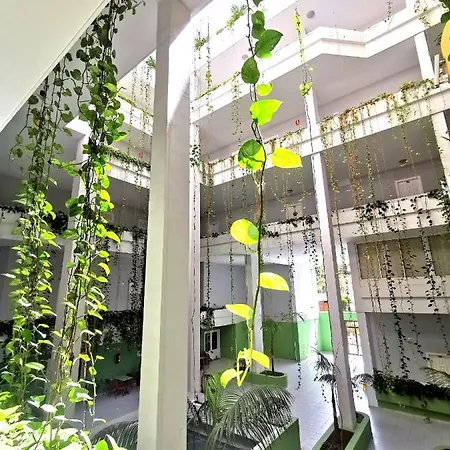 Le Paradis De Puerto De La Cruz * Puerto de la Cruz (Tenerife)